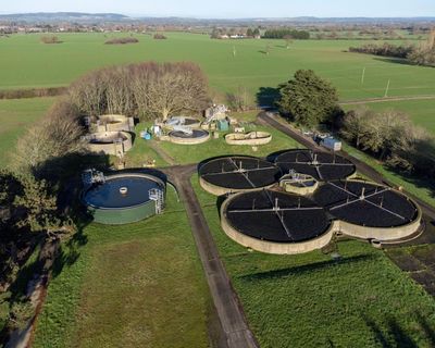 Waste disposal practices are harming the environment