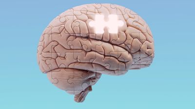 Can your brain run out of memory?