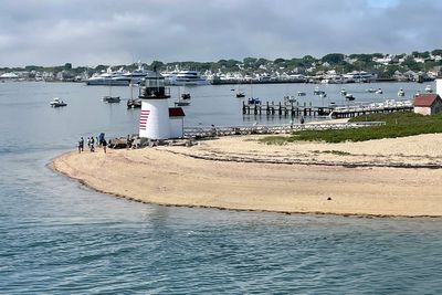 Nantucket man walked into neighbor’s yard and cut down 50-year-old trees to improve his ocean view, suit says