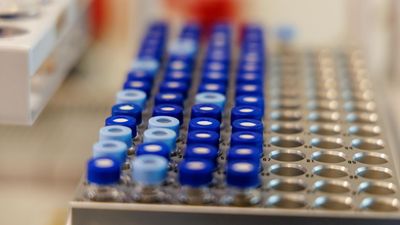 Hundreds more kids to be tested as abuse scandal widens