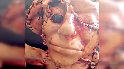 Human skin teddy bear found: Is it artwork or crime scene evidence?