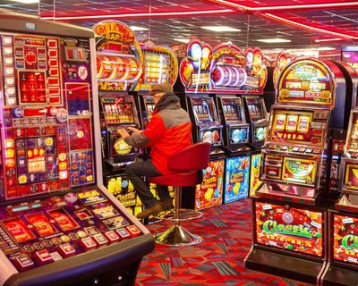 High-street slot machines reap record takings as councils call for power to curb spread