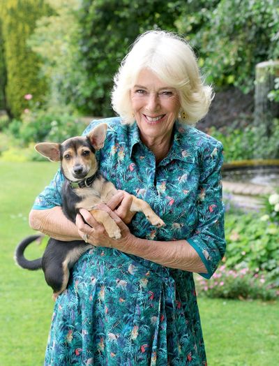 Queen Camilla opens new garden at London's beloved Battersea Dogs & Cats Home