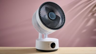 'You get the best of both worlds' – an expert reveals why an air circulator is better than a regular fan this summer