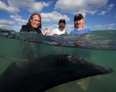 Shark! Celebrity Infested Waters review – a lovely watch … despite the stars’ total fear and panic