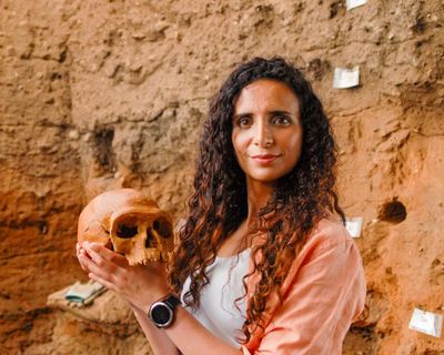 Human review – history at its most irresistibly infectious