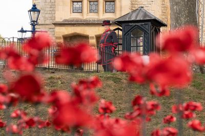 National two-minute silence to be held for 80th anniversary of VJ Day