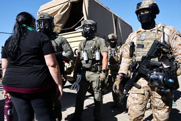 More than 360 arrested after ICE raid at California marijuana farms