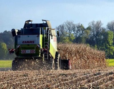 Grain Market Bears Seized the Moment Last Week. What That Means for Corn, Soybeans, and Wheat.