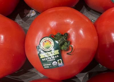 Trump slaps 17 percent tariff on tomatoes from Mexico