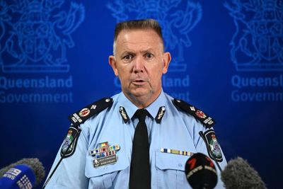 Domestic violence case management not ‘core business’ of police, Queensland’s top cop says