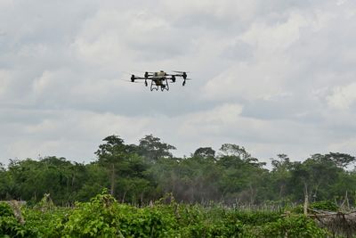 Ivory Coast Farmers Hope Tech Tempts Jaded Youth Back To Fields