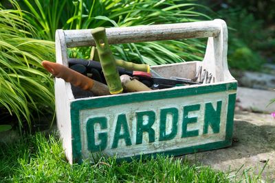 Too busy to tend to your garden? Experts reveal their top time-saving tips