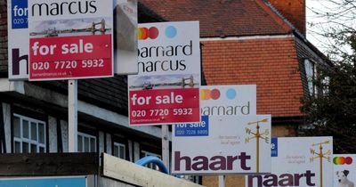 36,000 new mortgages for first-time buyers: What it means for you