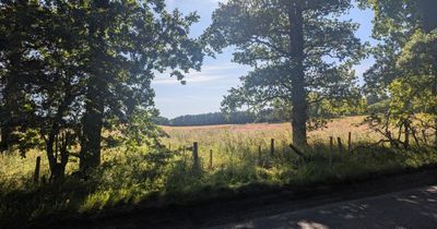 Construction to begin on new Moray cemetery the size of 8 football pitches