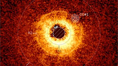 Swiss exoplanet pioneer reflects on Earth’s place in the cosmos