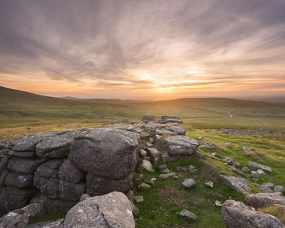 Sheep are destroying precious British habitats – and we taxpayers are footing the bill