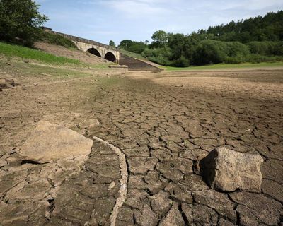 Four areas of England now in drought as heat threatens wildlife and crops