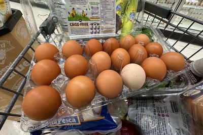 US inflation accelerated last month to highest level since February
