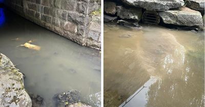 Highland beauty spot becomes 'disgusting mess of grey sludge' amid heatwave