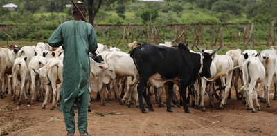 Africans survived 10,000 years of climate changes by adapting food systems – study offers lessons for modern times