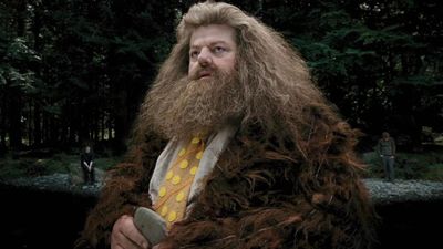 The Harry Potter TV Show Released The First Look At Nick Frost's Hagrid, And I’m Feeling Better About It
