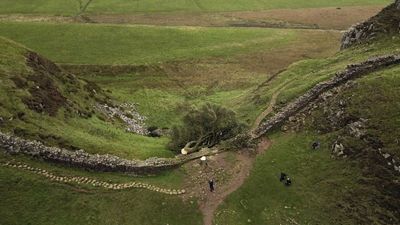 Two men who felled iconic Sycamore Gap tree on UK's Roman Wall jailed for four years