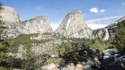 Who was John Muir? The Scottish-American who fought to protect our wilderness areas