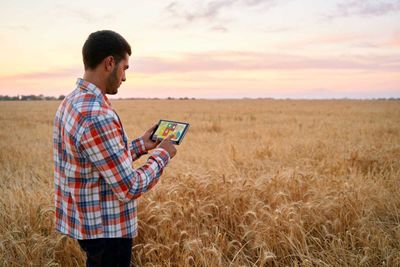 Wheat Slide Lower Continues