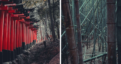 I Spent A Weekend Photographing In Kyoto, Japan And These Are My Favorite Shots (23 Pics)