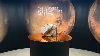 The largest Mars rock on Earth is up for auction in NYC — it could be yours for $4 million (or more)