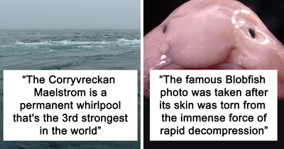 22 Fascinating, Weird Or Even Scary Facts About The Ocean People In This Online Group Decided To Share