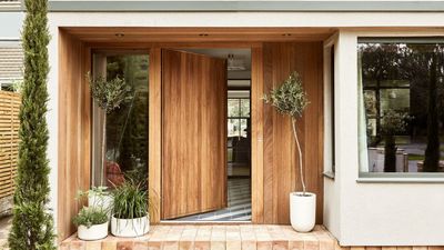 Pest pros are urging you to spray vinegar on your door this summer – here’s why you should act fast