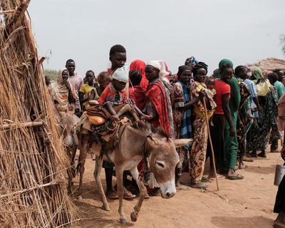 Sudanese paramilitary RSF accused of killing almost 300 people in village raids