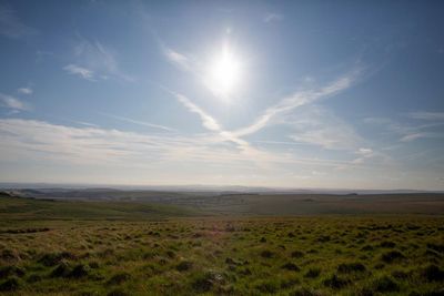 ‘The place is bleached, a dead zone’: how the UK’s most beloved landscapes became biodiversity deserts