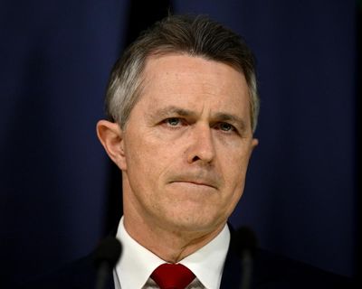 Afternoon Update: minister calls for childcare worker database; Malaysians criticise US ambassador pick; and an inquisitive whale visits Sydney