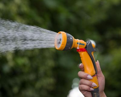 Southern Water issues hosepipe ban for 1m people in Hampshire and Isle of Wight