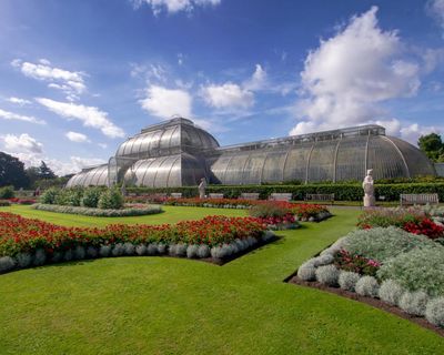 Kew Gardens’ tropical Palm House to shut for five years for net zero makeover