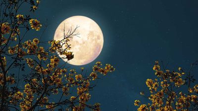 If you always fail to declutter, tap into the superpower of the moon's phases for a storming streamlining success