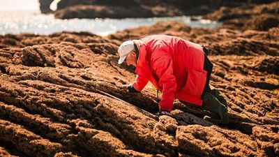Scientists predicted coastal threats 25 years ago. What did they get right and what did they miss?
