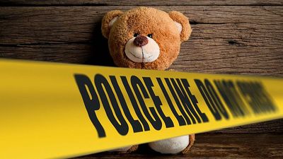 Not beary funny: Teddy bear artwork made from fake human skin leads to arrest in California