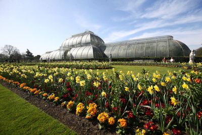 Kew’s Palm House to shut for renovations as part of push towards net zero