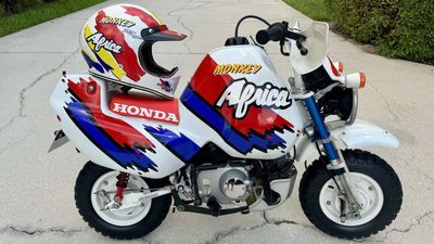 What Do You Think, Should Honda Build A New Baja Monkey Africa?