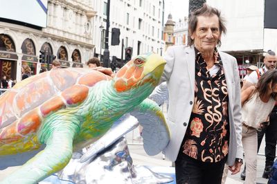 Ronnie Wood urges people to look after wildlife before there is ‘nothing’ left