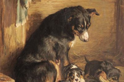 Paintings once owned by Rolling Stones drummer to be sold in dog art auction