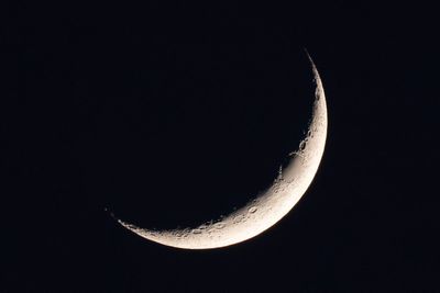 The soil on the Moon could support life, scientists say