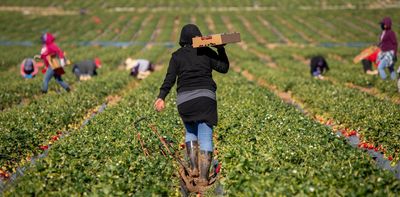 Immigrants in Europe and North America earn 18% less than natives – here’s why
