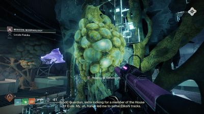 How to get Mattermorph in Destiny 2 Edge of Fate
