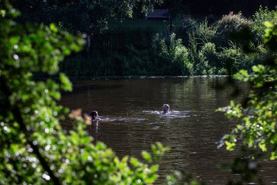Hampstead Heath’s ladies’ pond has always been about inclusivity – long may that continue