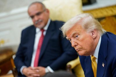 Trump attacks ‘stupid Republicans’ for wanting Epstein files released